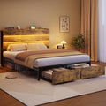 Brown Queen LED Storage Bed Frame